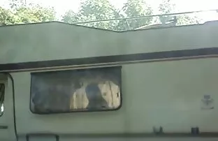 Poznaj darmowe zdjęcia xxx ogród wróżek