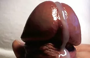 Nuty Brązowe sex foto darmo Pyszne